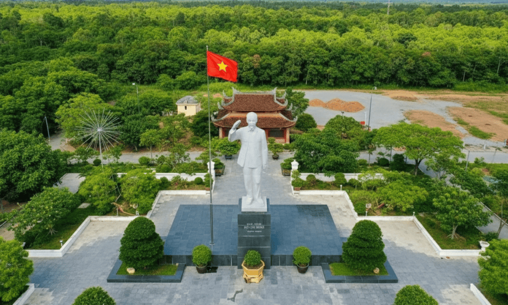 3.8. Primitive Choi Forest